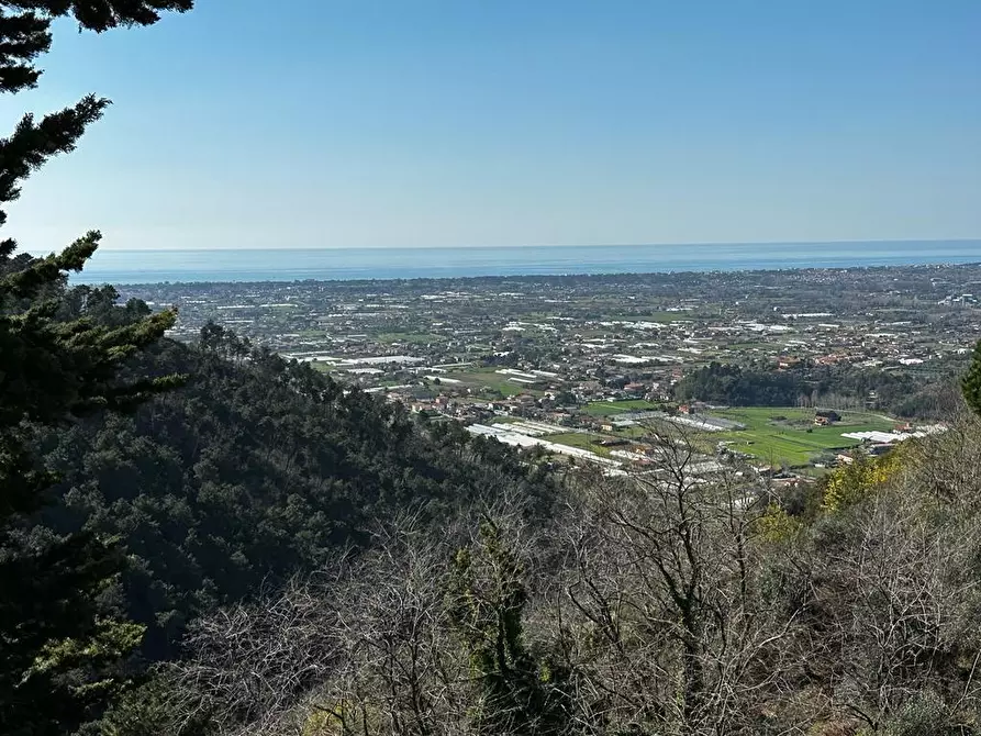 Immagine 62 di Villa in vendita  a Camaiore