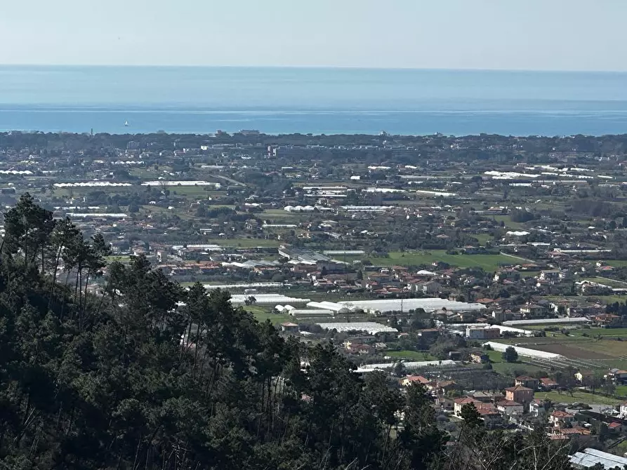 Immagine 54 di Villa in vendita  a Camaiore