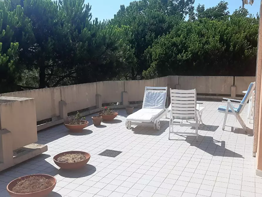 Immagine 2 di Mansarda in affitto  a Massa