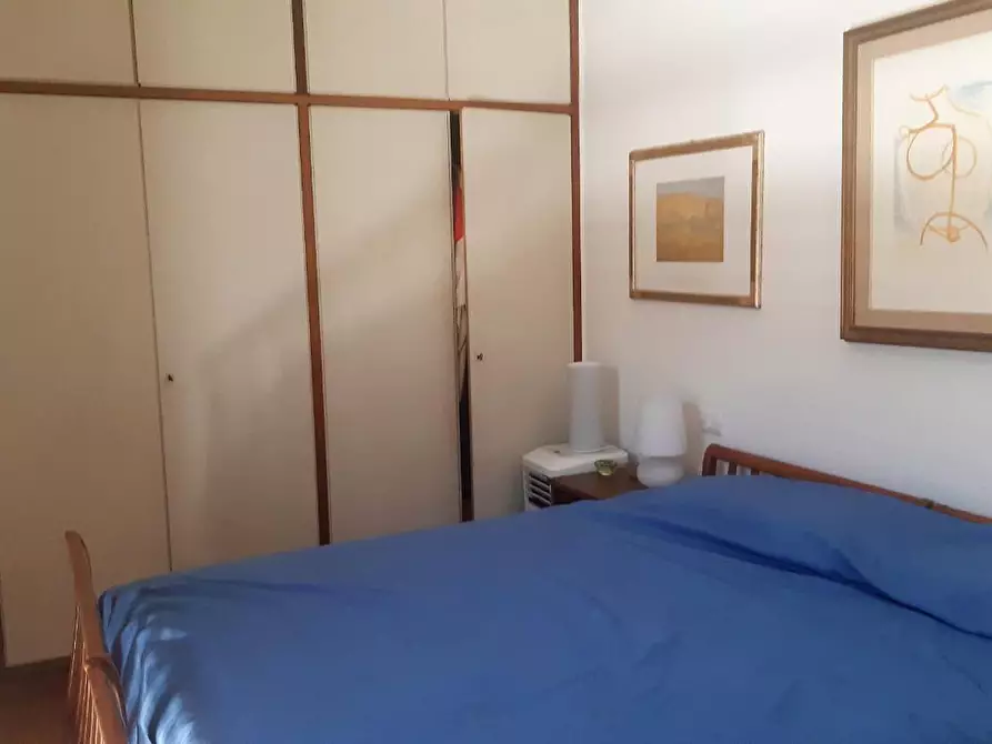 Immagine 11 di Mansarda in affitto  a Massa