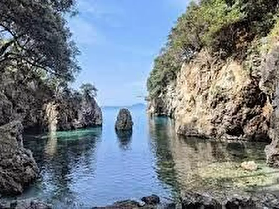 Immagine 6 di Casa indipendente in vendita  a Ameglia