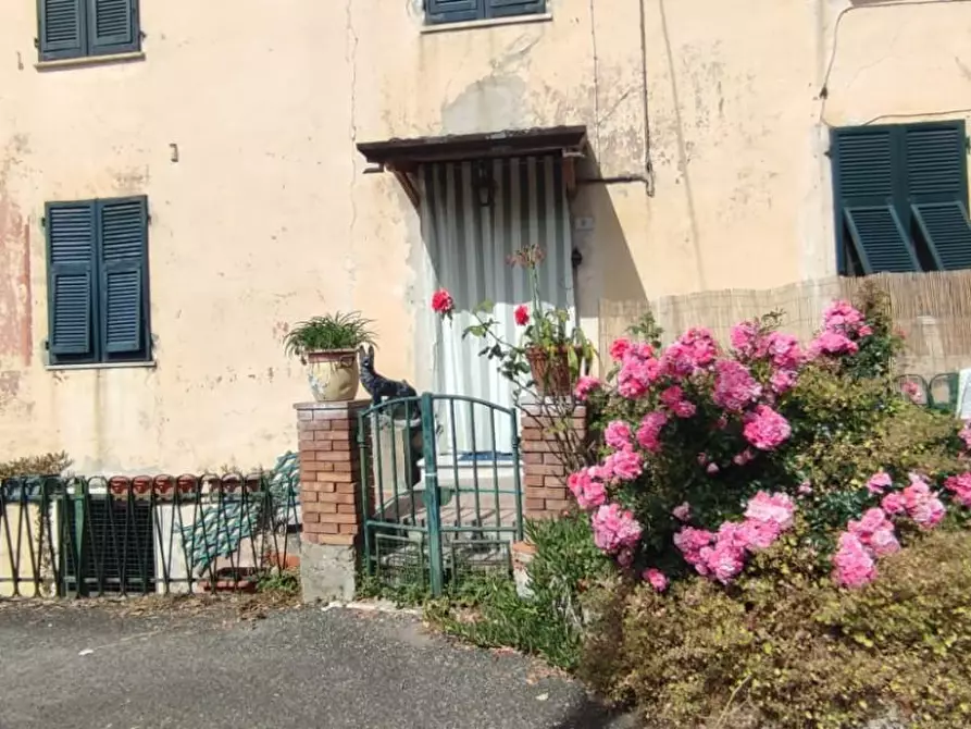 Immagine 4 di Casa indipendente in vendita  a Ameglia
