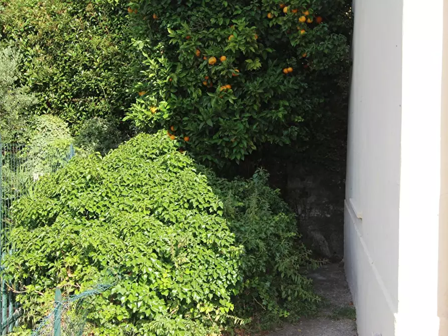 Immagine 50 di Casa indipendente in vendita  a Vezzano Ligure