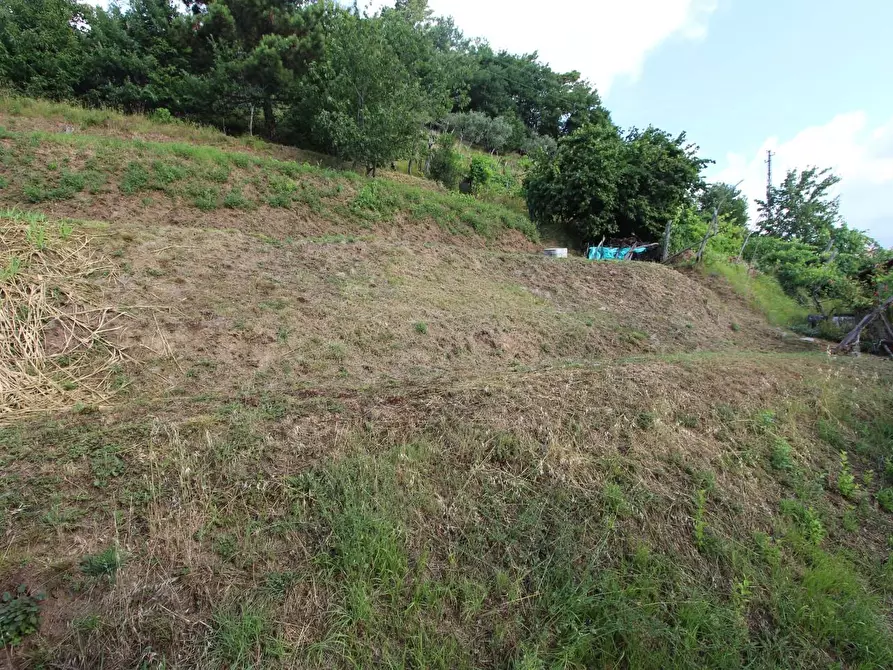 Immagine 42 di Casa indipendente in vendita  a Vezzano Ligure