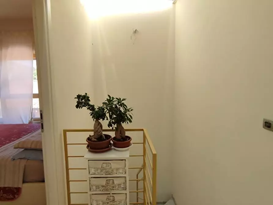 Immagine 12 di Casa trifamiliare in vendita  a Massa