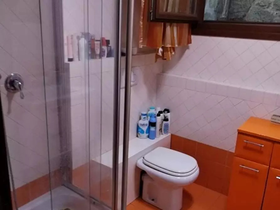 Immagine 18 di Appartamento in vendita  a Massa