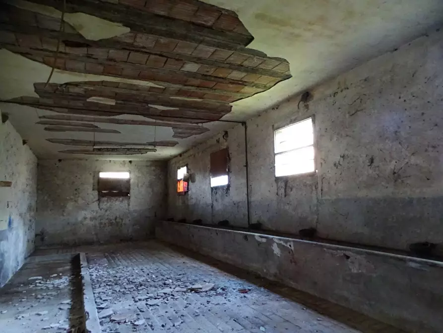 Immagine 6 di Casa indipendente in vendita  a San Miniato