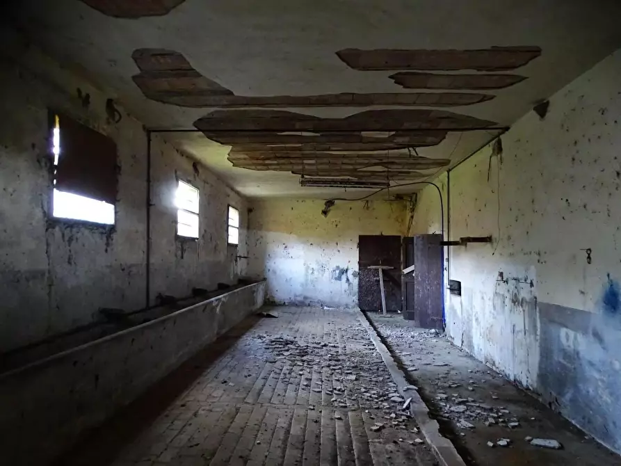 Immagine 7 di Casa indipendente in vendita  a San Miniato