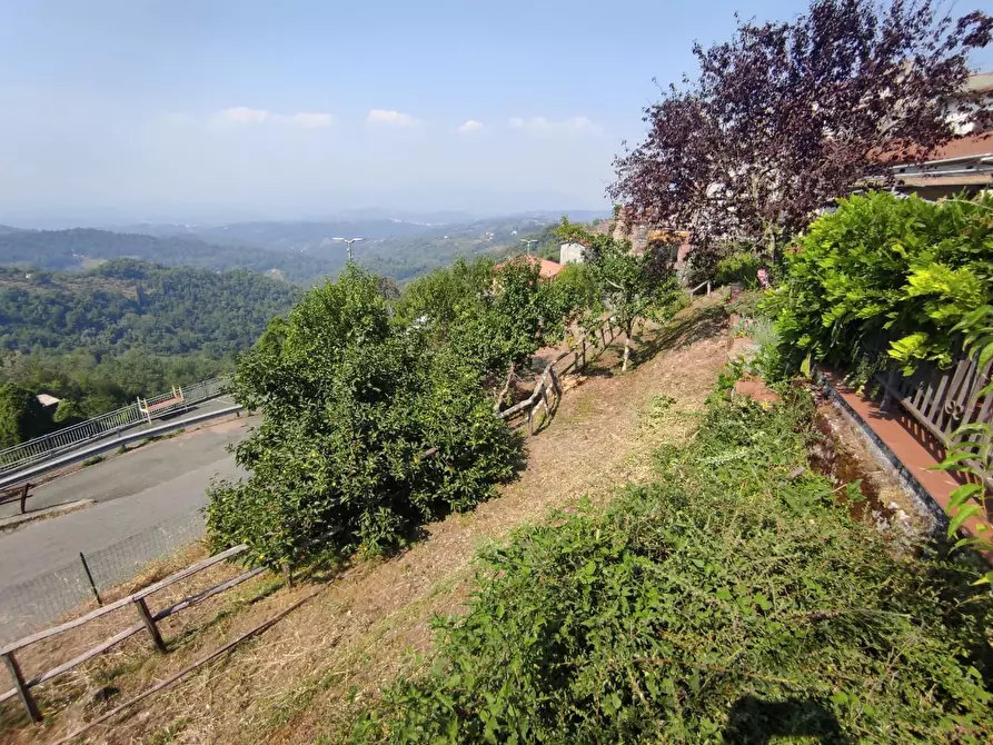Immagine 19 di Casa semindipendente in vendita  a Fosdinovo