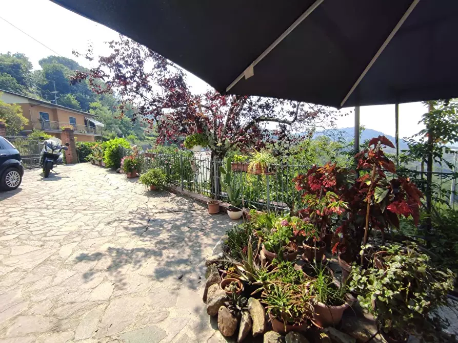 Immagine 14 di Casa semindipendente in vendita  a Fosdinovo