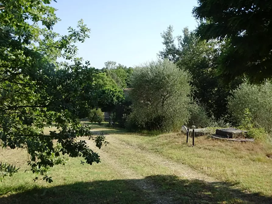 Immagine 87 di Villa in vendita  a San Miniato