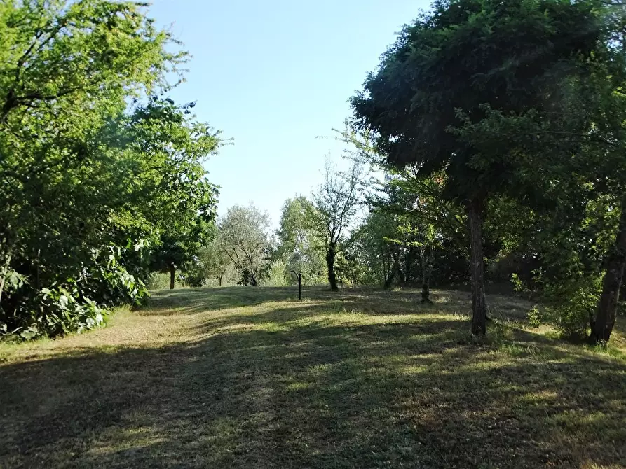 Immagine 4 di Villa in vendita  a San Miniato