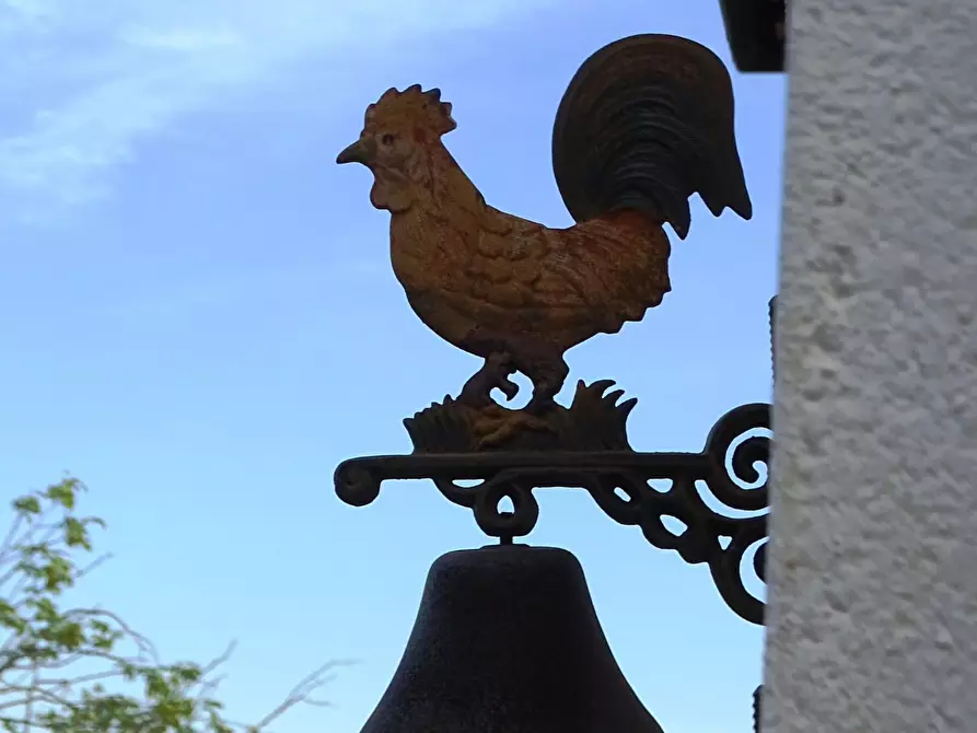 Immagine 65 di Villa in vendita  a San Miniato