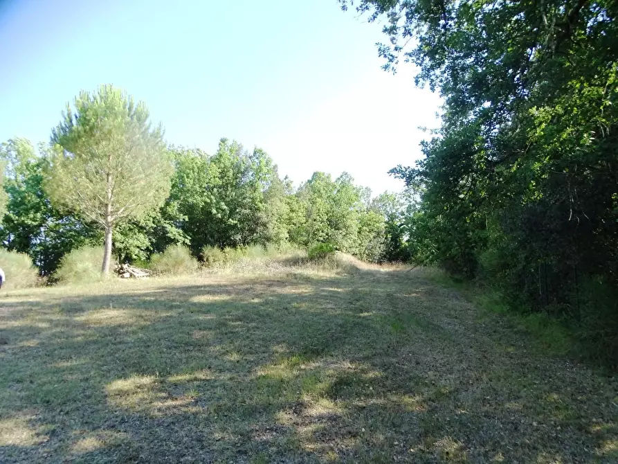 Immagine 66 di Villa in vendita  a San Miniato