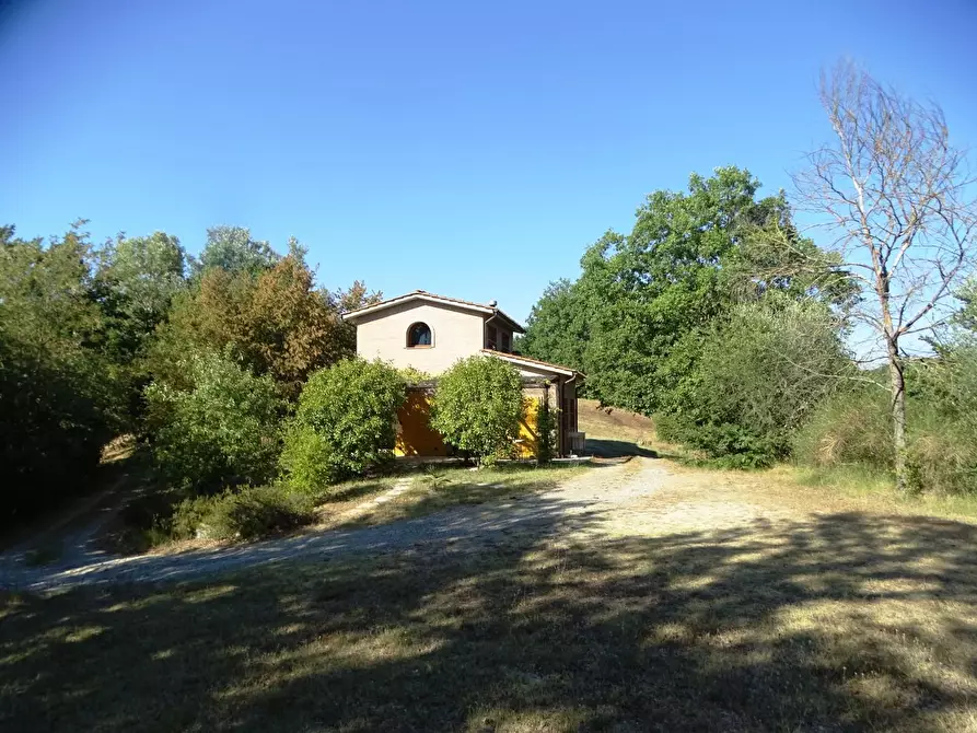 Immagine 68 di Villa in vendita  a San Miniato