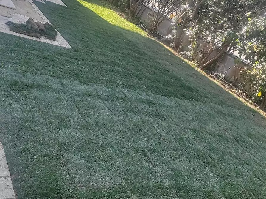 Immagine 25 di Villa in vendita  a Camaiore