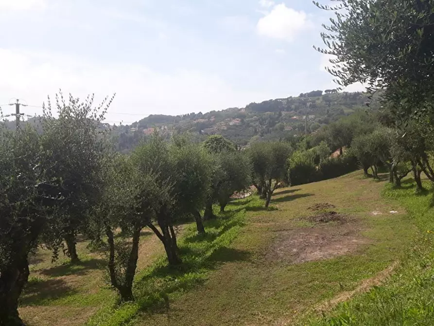 Immagine 7 di Terreno residenziale in vendita  a Massarosa