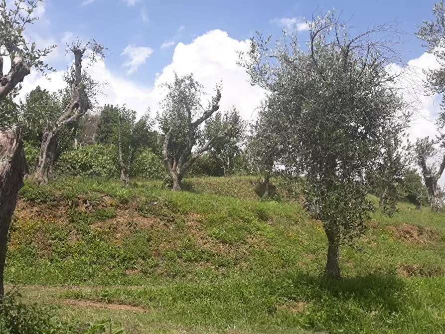 Immagine 9 di Terreno residenziale in vendita  a Massarosa