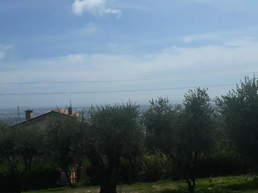 Immagine 10 di Terreno residenziale in vendita  a Massarosa