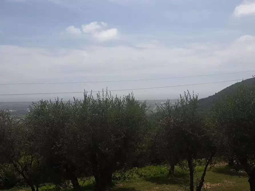 Immagine 6 di Terreno residenziale in vendita  a Massarosa