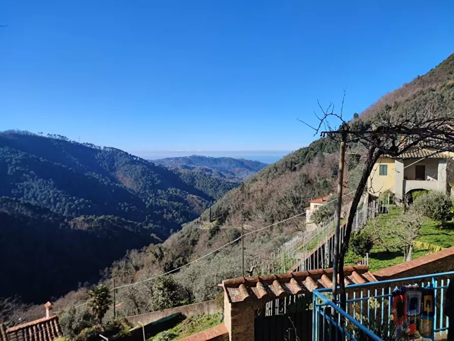 Immagine 16 di Terratetto in vendita  a Camaiore