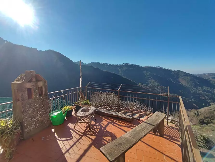 Immagine 15 di Terratetto in vendita  a Camaiore