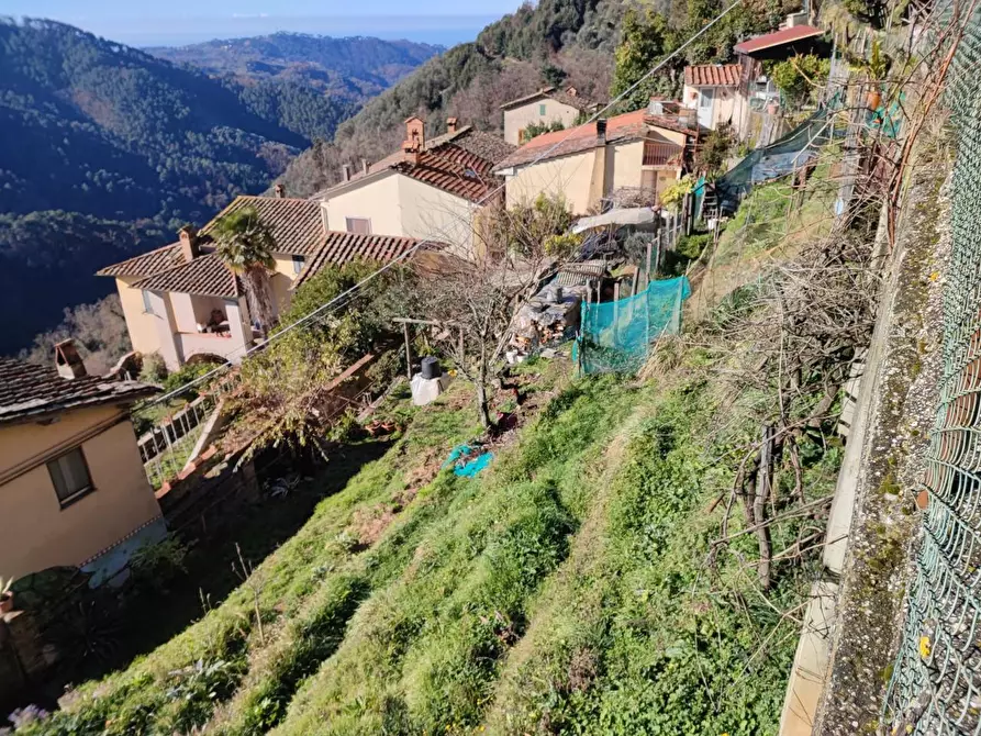 Immagine 18 di Terratetto in vendita  a Camaiore