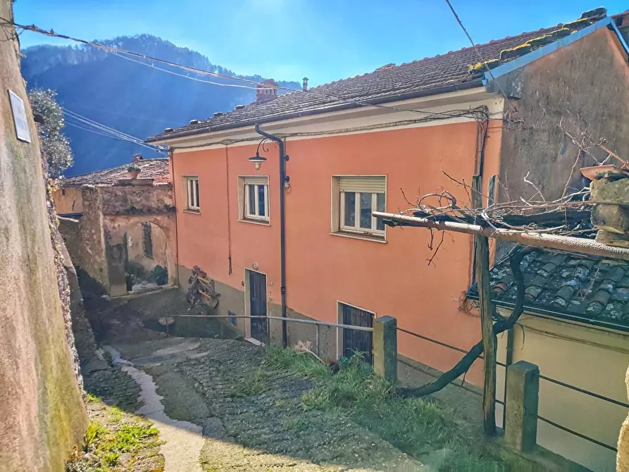 Immagine 14 di Terratetto in vendita  a Camaiore