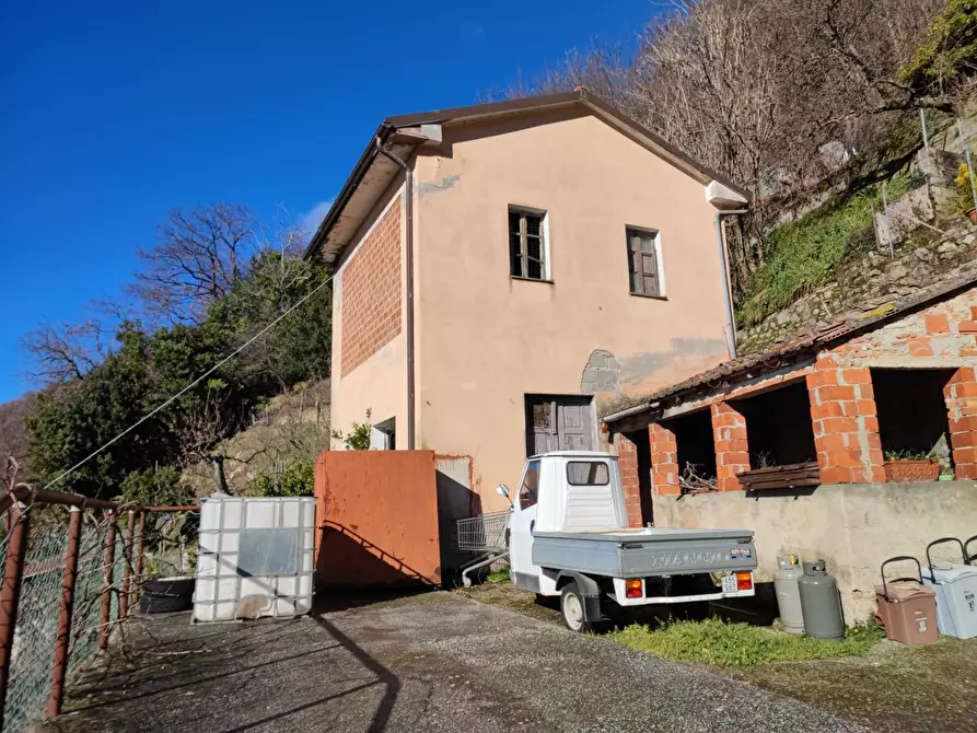 Immagine 17 di Terratetto in vendita  a Camaiore