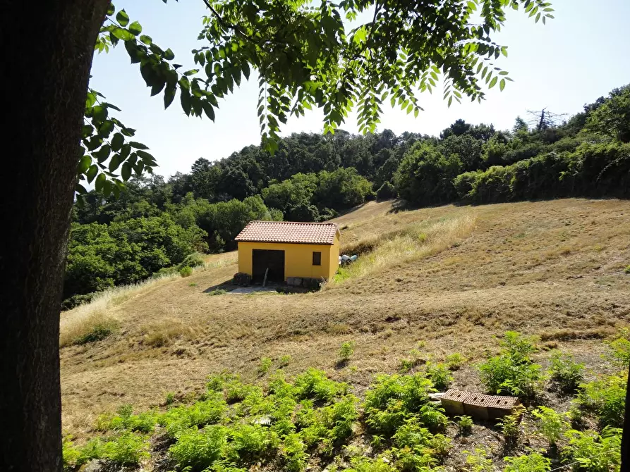 Immagine 23 di Villa in vendita  a Chianni