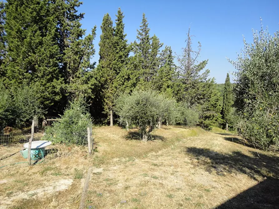 Immagine 25 di Villa in vendita  a Chianni