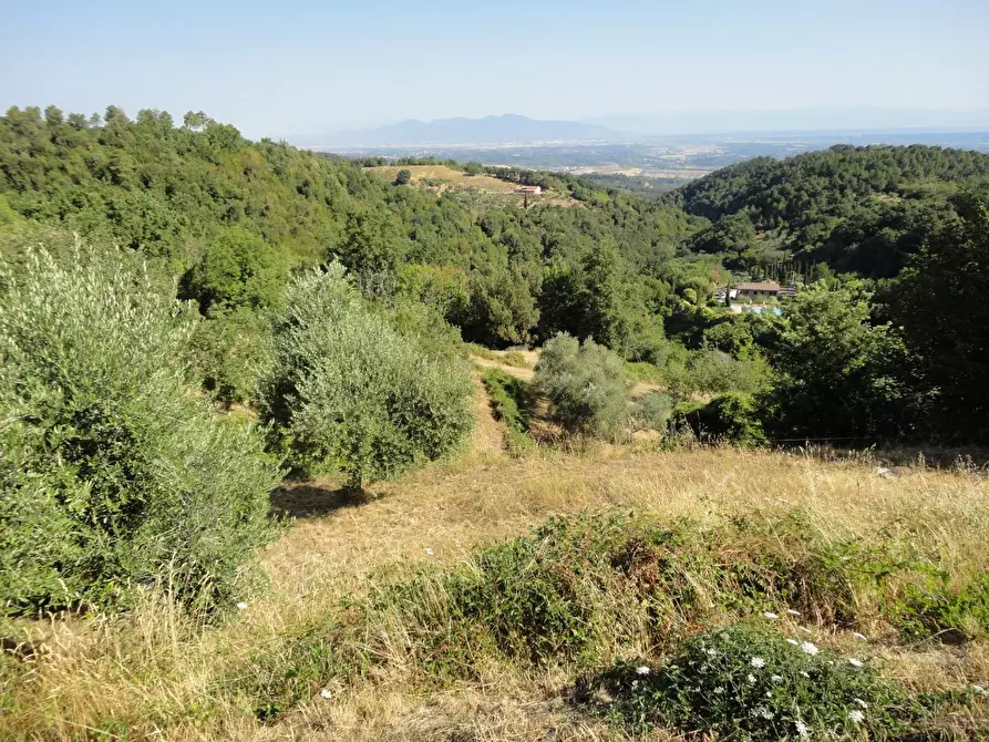 Immagine 26 di Villa in vendita  a Chianni