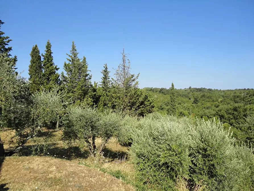 Immagine 29 di Villa in vendita  a Chianni