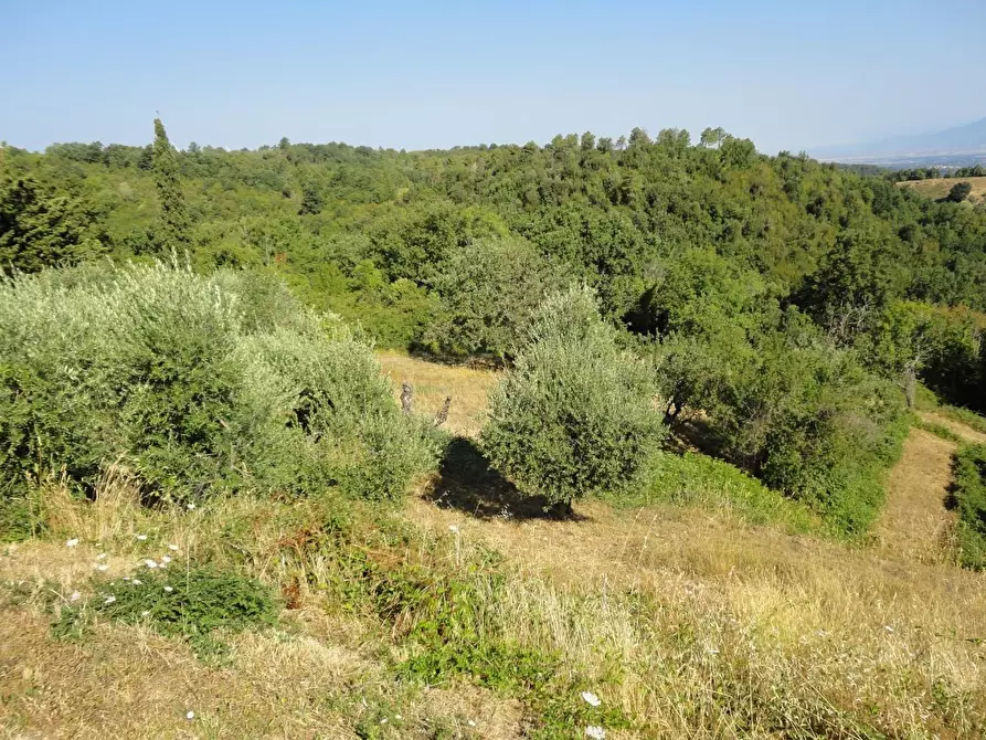 Immagine 28 di Villa in vendita  a Chianni