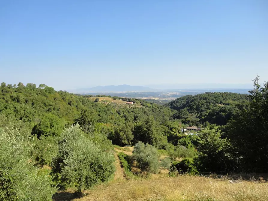 Immagine 27 di Villa in vendita  a Chianni