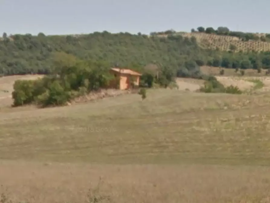 Immagine 2 di Azienda agricola in vendita  a Scansano