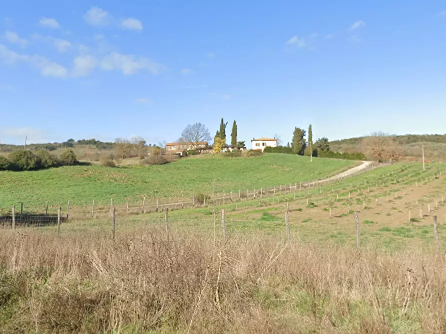 Immagine 2 di Azienda agricola in vendita  a Civitella Paganico