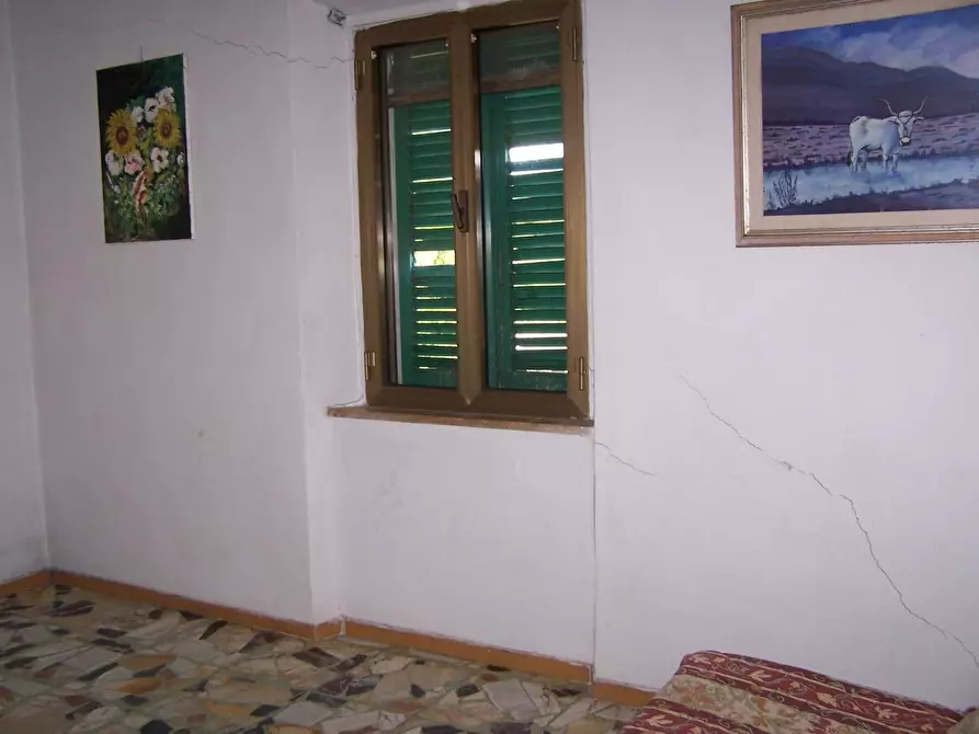 Immagine 6 di Azienda agricola in vendita  a Civitella Paganico