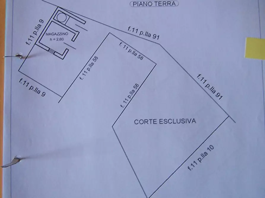 Immagine 4 di Azienda agricola in vendita  a Civitella Paganico