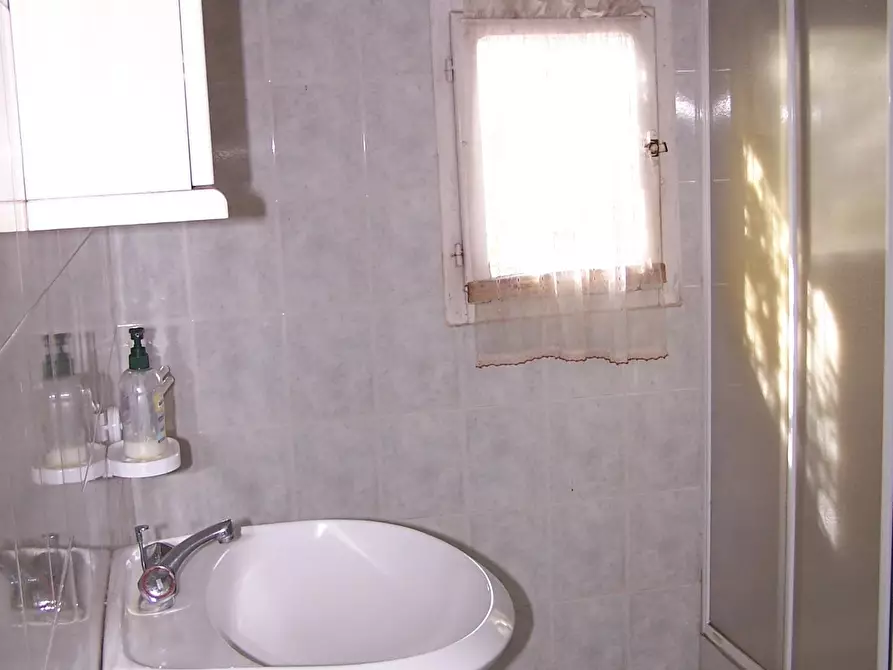 Immagine 8 di Azienda agricola in vendita  a Civitella Paganico