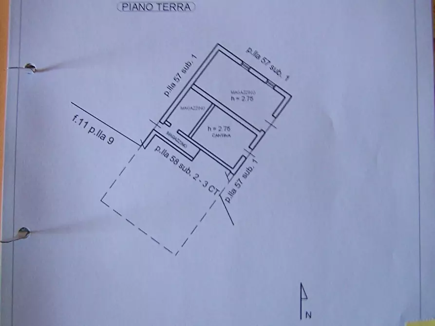 Immagine 3 di Azienda agricola in vendita  a Civitella Paganico