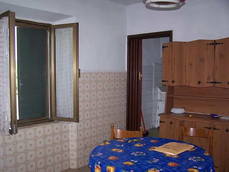 Immagine 7 di Azienda agricola in vendita  a Civitella Paganico