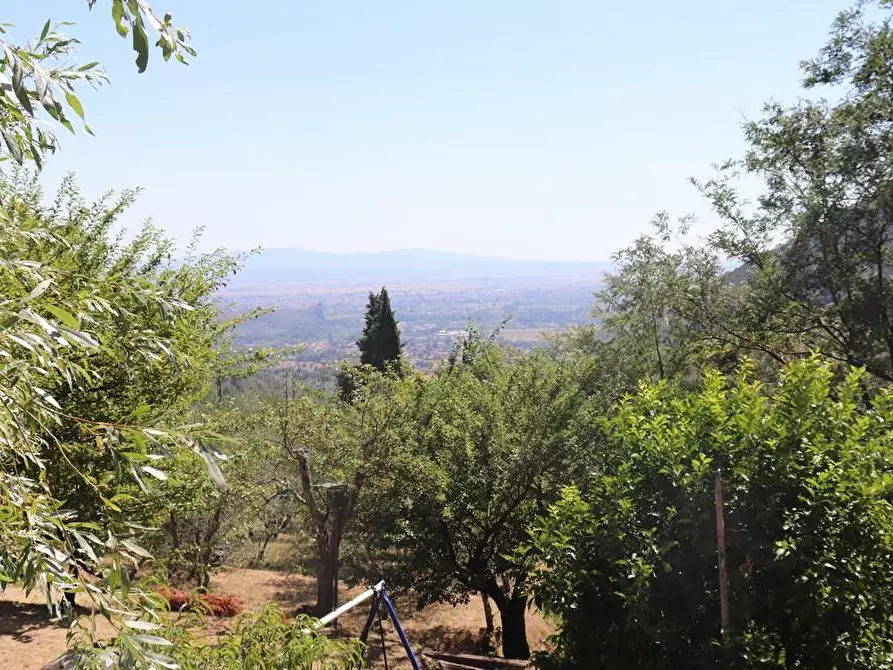 Immagine 1 di Casa indipendente in vendita  a Calci