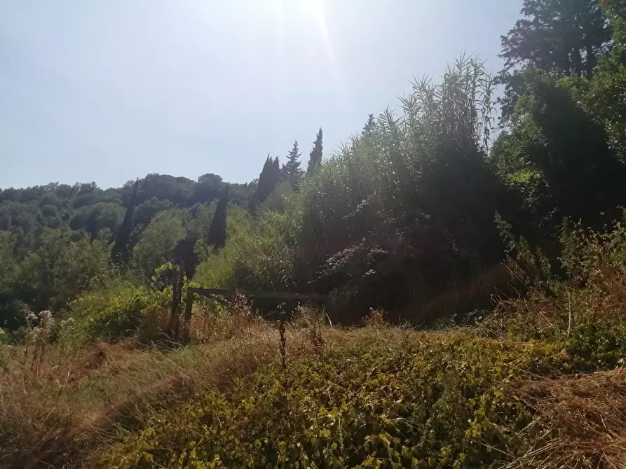 Immagine 10 di Deposito in vendita  a San Miniato