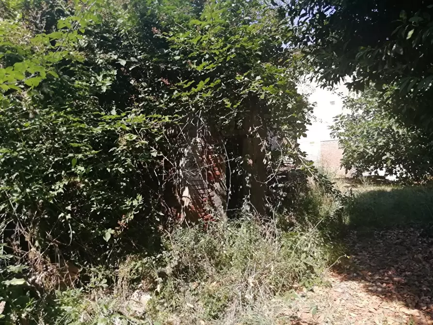 Immagine 6 di Deposito in vendita  a San Miniato