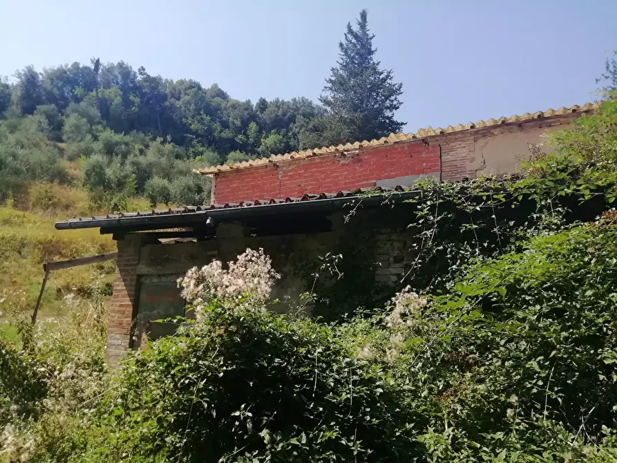 Immagine 4 di Deposito in vendita  a San Miniato