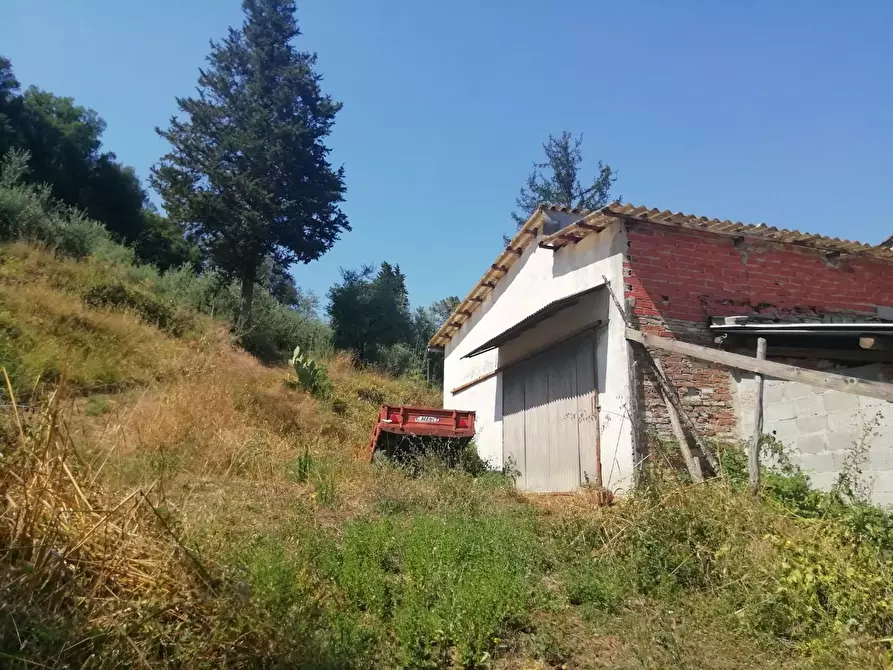 Immagine 8 di Deposito in vendita  a San Miniato