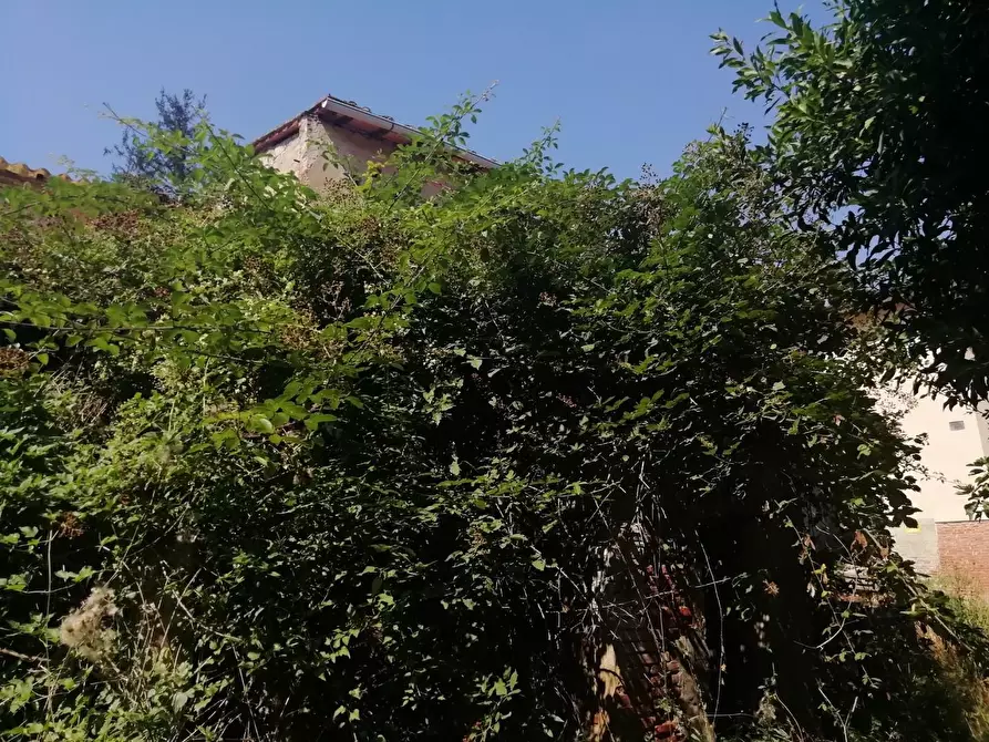 Immagine 5 di Deposito in vendita  a San Miniato