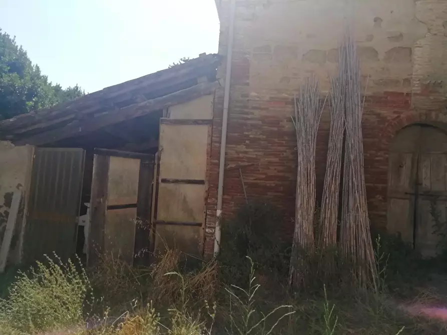 Immagine 3 di Deposito in vendita  a San Miniato