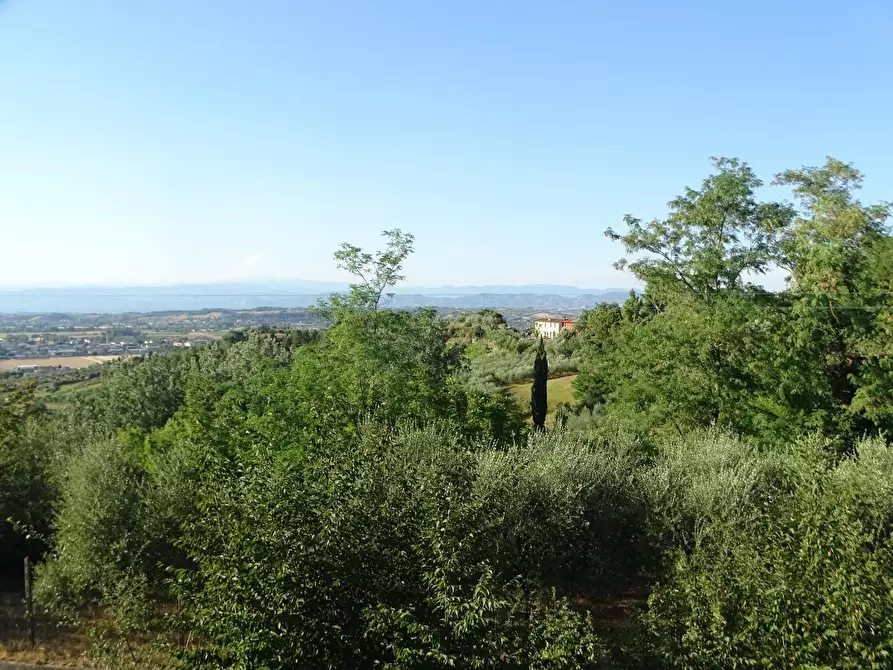 Immagine 24 di Villa in vendita  a San Miniato